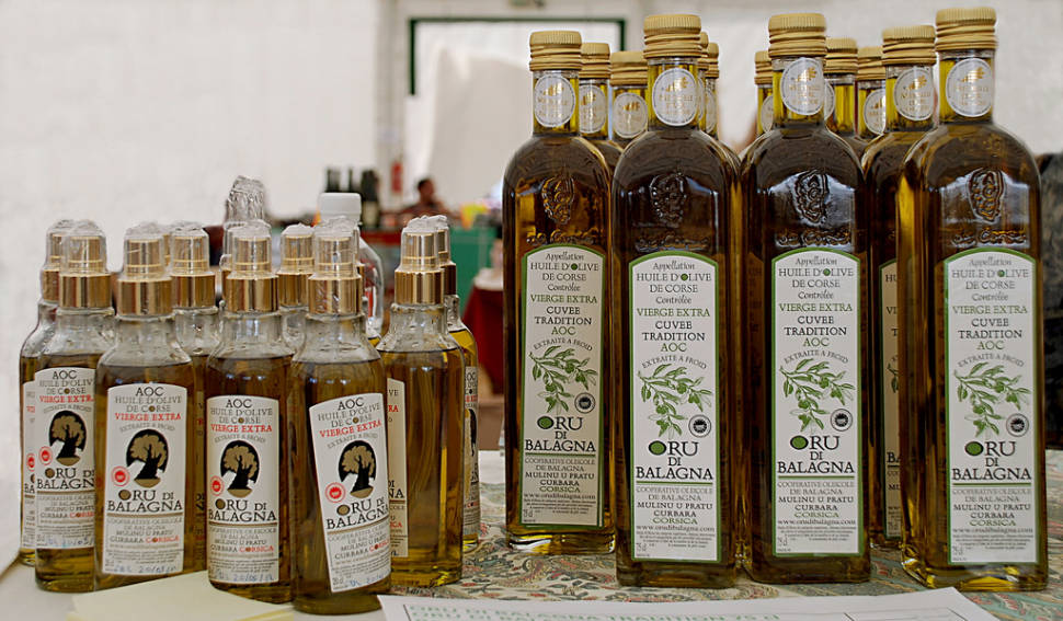 Best time to see Olive Harvest in Corsica