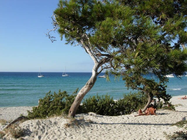 Best time to see Secret Hideaways in Corsica