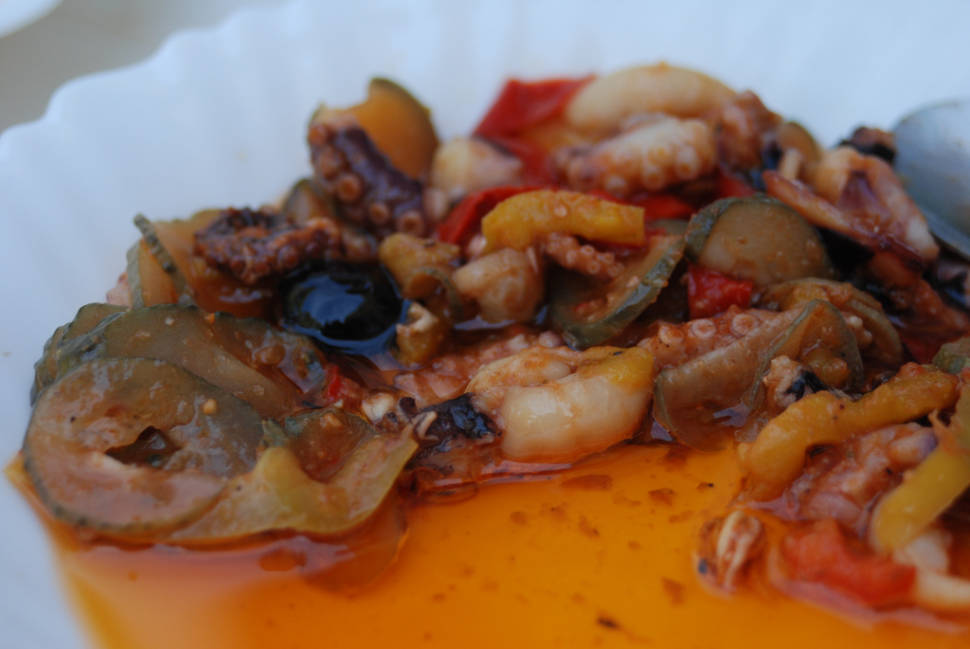 Squid in Corsica - Best Season
