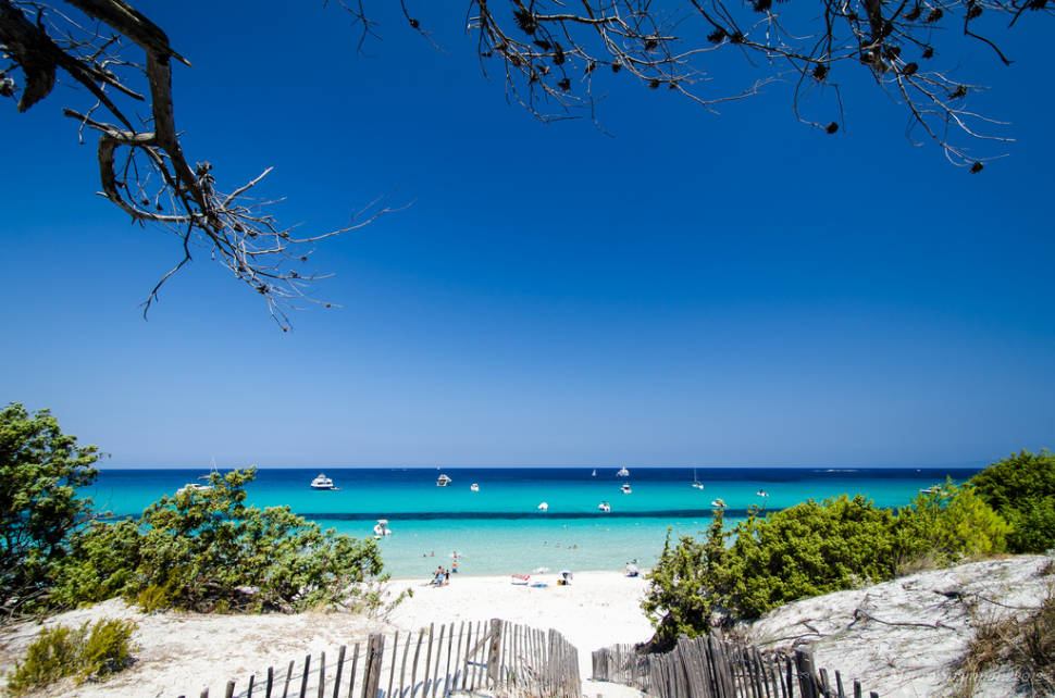 Best time to see Sun and Fun: Beach Season in Corsica