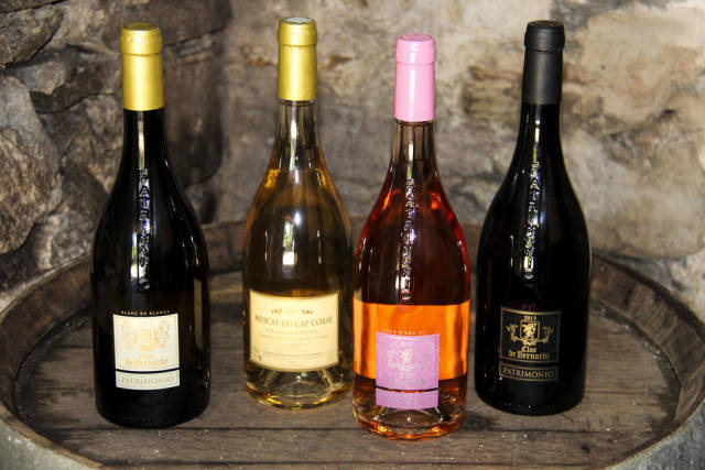 Wine Season in Corsica - Best Season