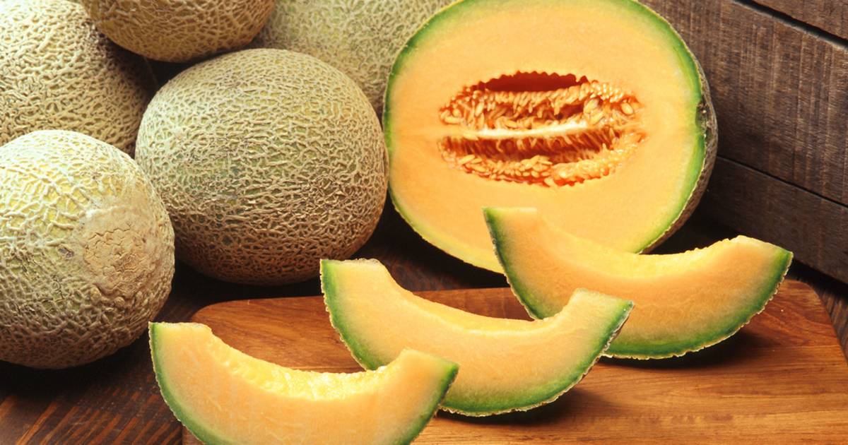 Cantaloupe in Costa Rica - Best Time