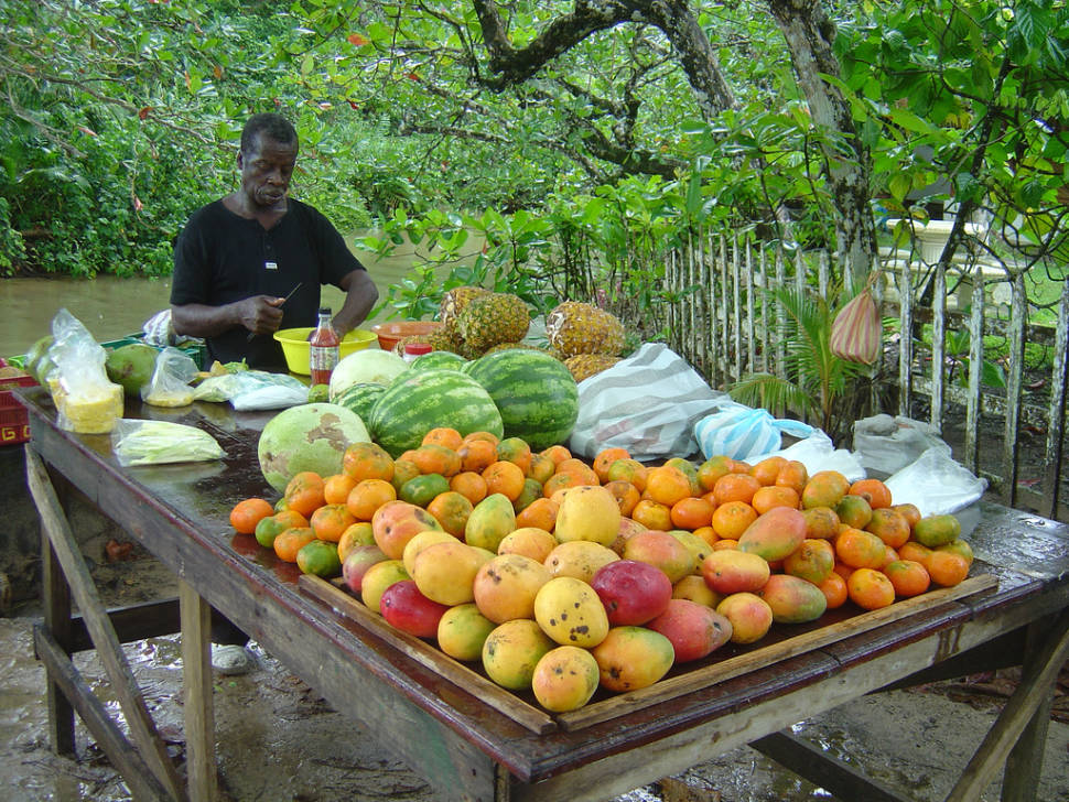 Best time for Mango Season in Costa Rica