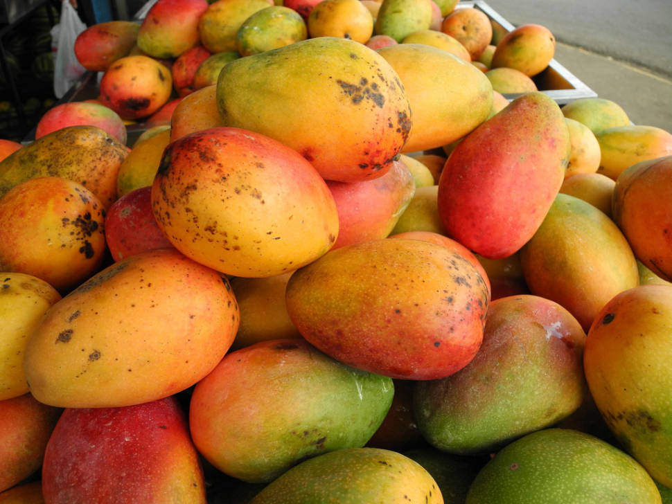 Mango Season in Costa Rica - Best Time