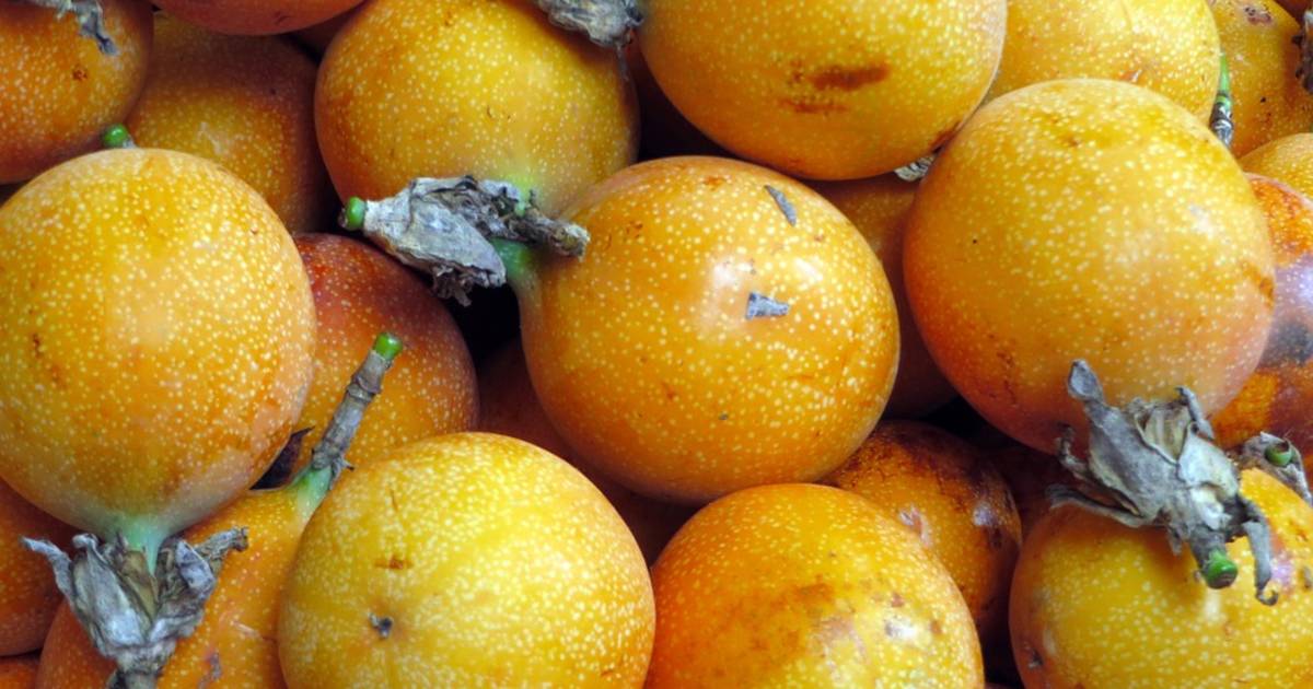 Passion Fruit or Maracuya in Costa Rica - Best Time