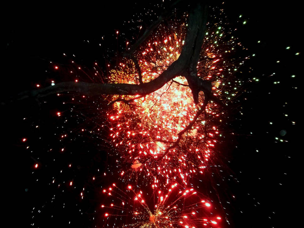 Best time for Fiestas Típicas Nacionales Santa Cruz