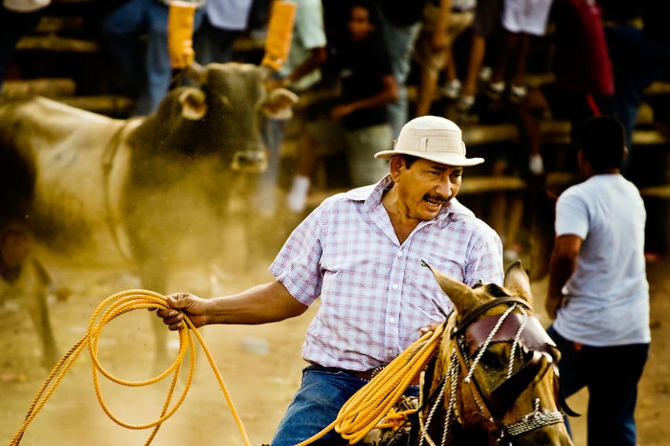 Best time to see Fiestas Típicas Nacionales Santa Cruz in Costa Rica