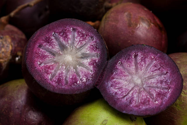 Star Apple or Caimito in Costa Rica - Best Time