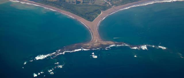 Whale Watching in Costa Rica - Best Season