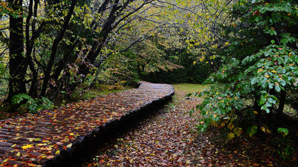 Best time to see Autumnal Plitvice Lakes in Croatia