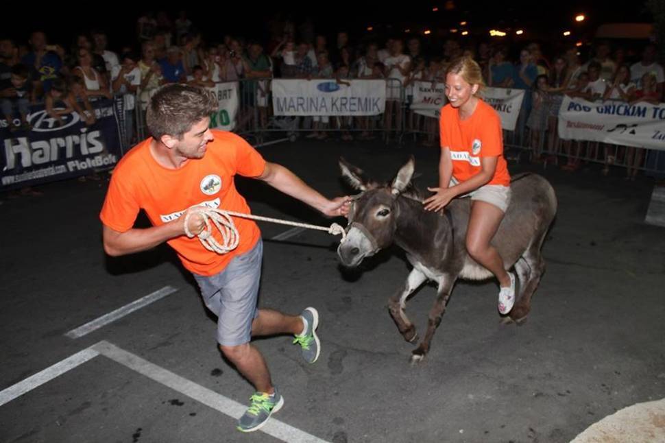International Donkey Race in Croatia - Best Time