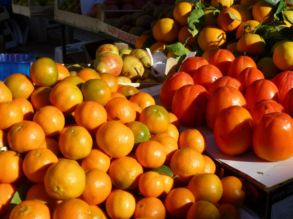 Best time for Tangerine Harvesting Season in Croatia