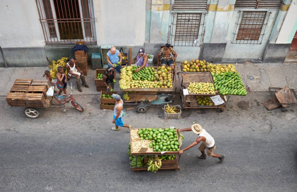 Avocado stalls in Havana