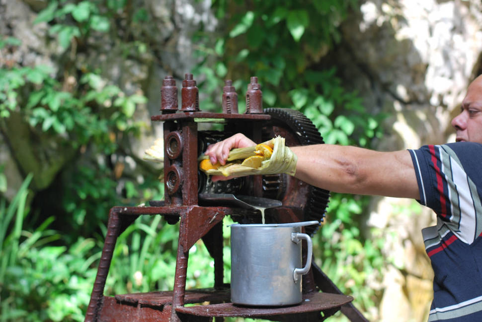Best time for Guarapo Drink in Cuba