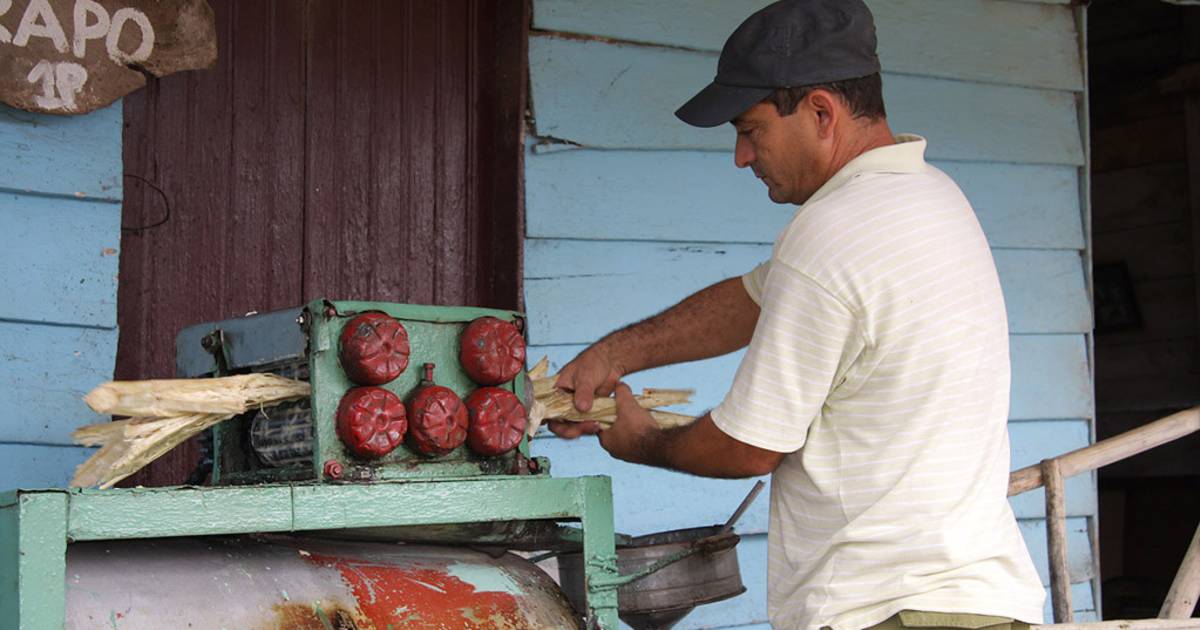 Guarapo Drink in Cuba - Best Time
