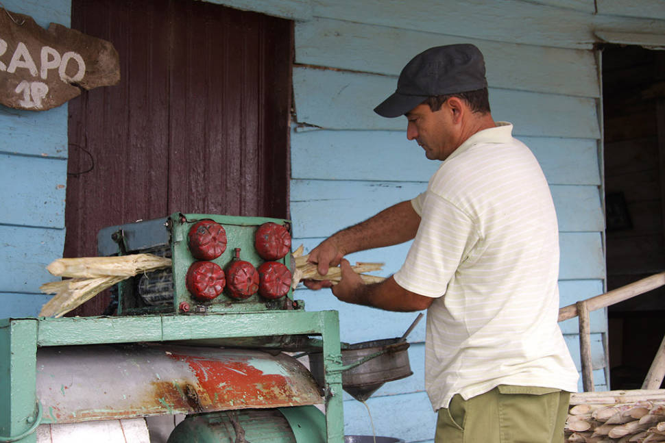 Guarapo Drink in Cuba - Best Time