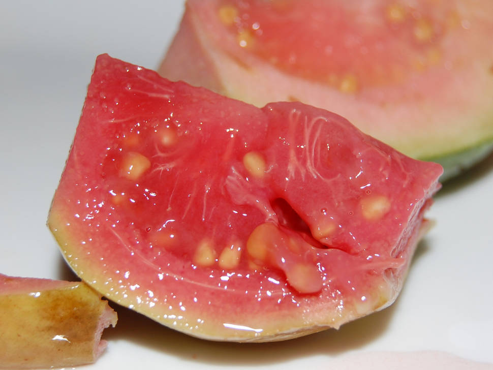 Best time for Guava or Guayaba in Cuba