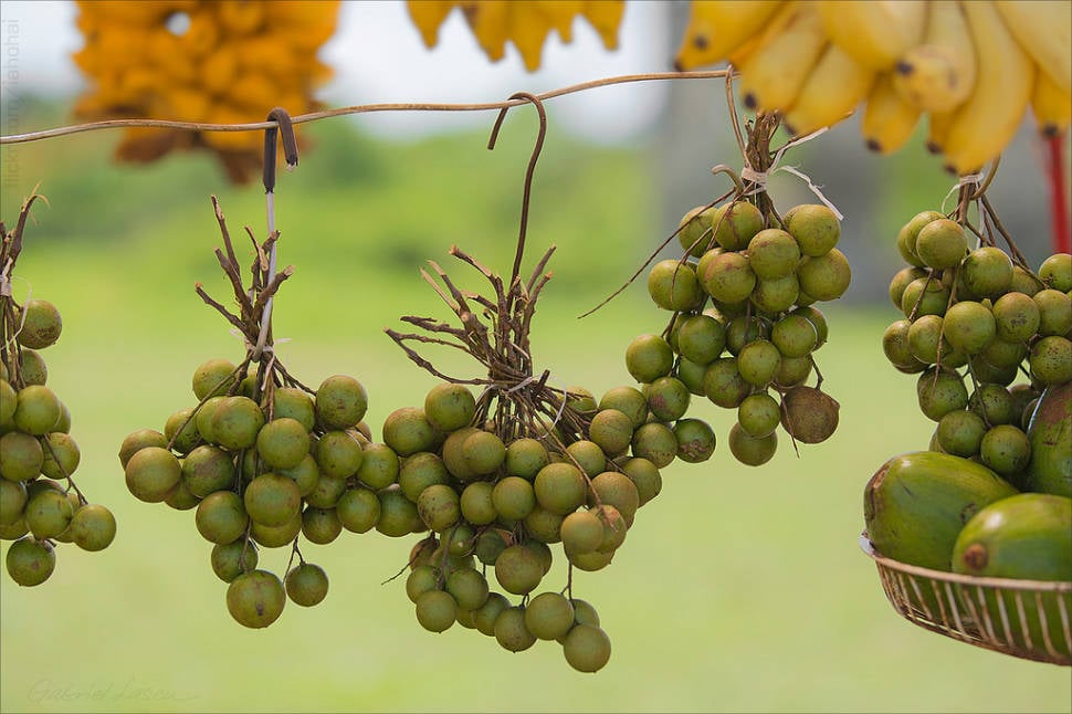 Mamoncillo Season in Cuba - Best Time