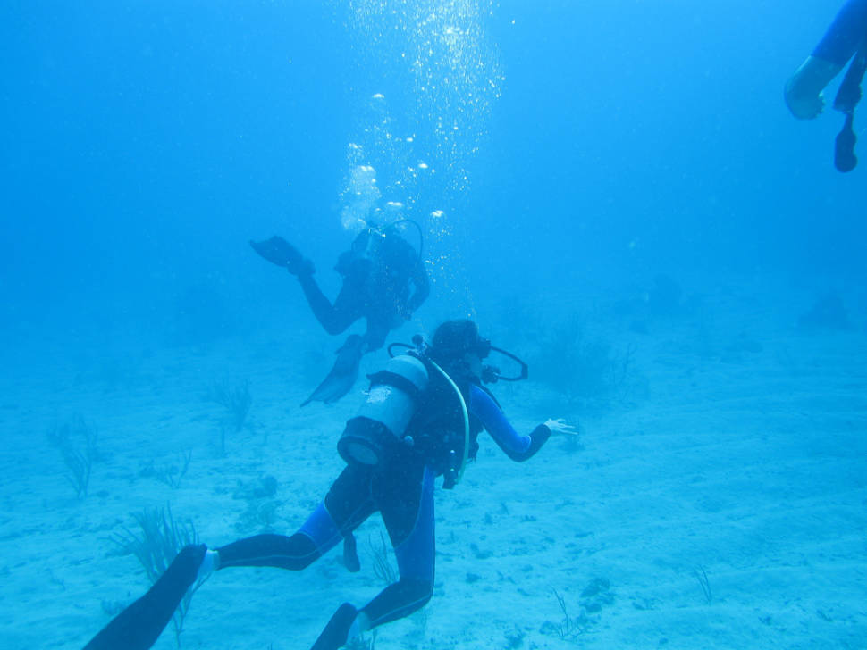 Snorkeling and Diving in Cuba - Best Time