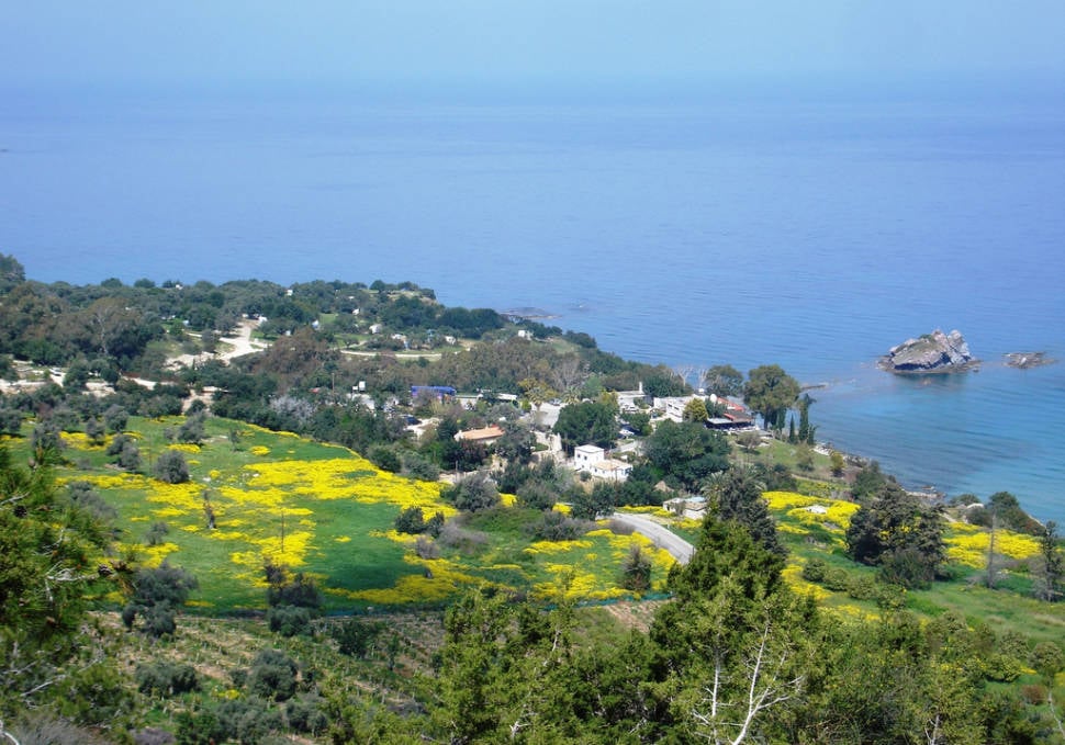 Best time for Aphrodite Trail Abloom in Cyprus