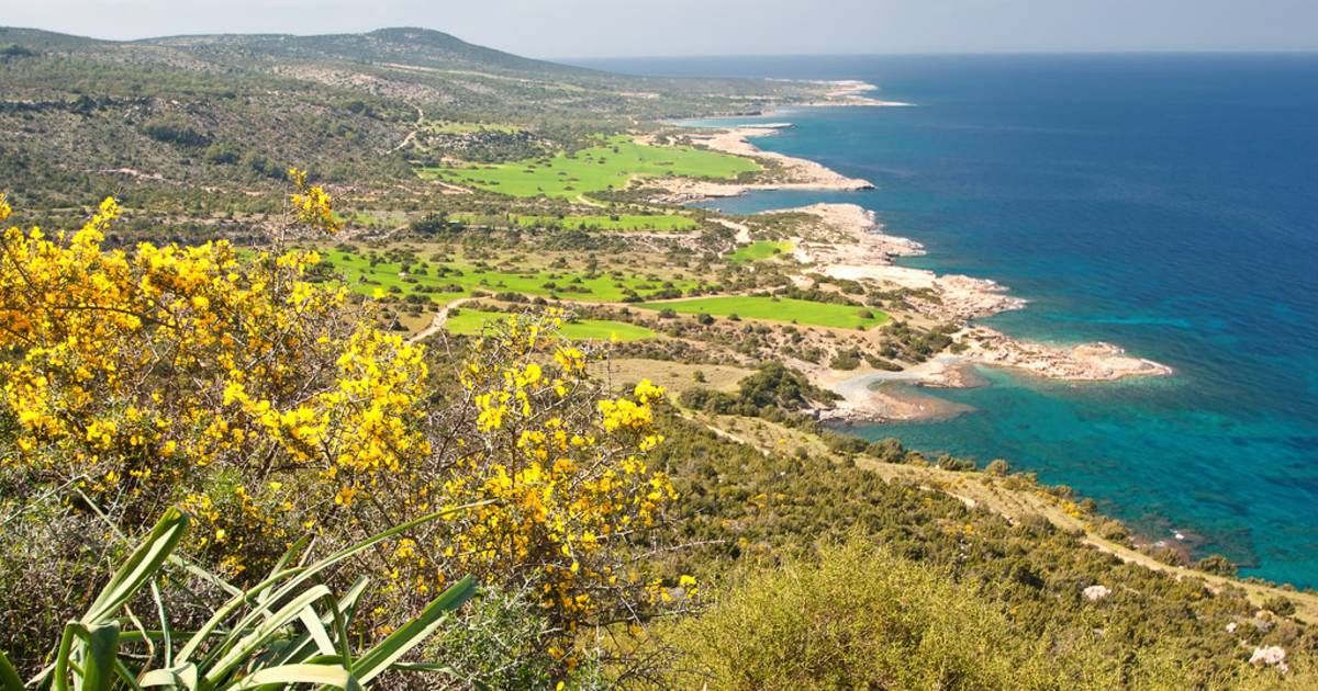 Aphrodite Trail Abloom in Cyprus - Best Time