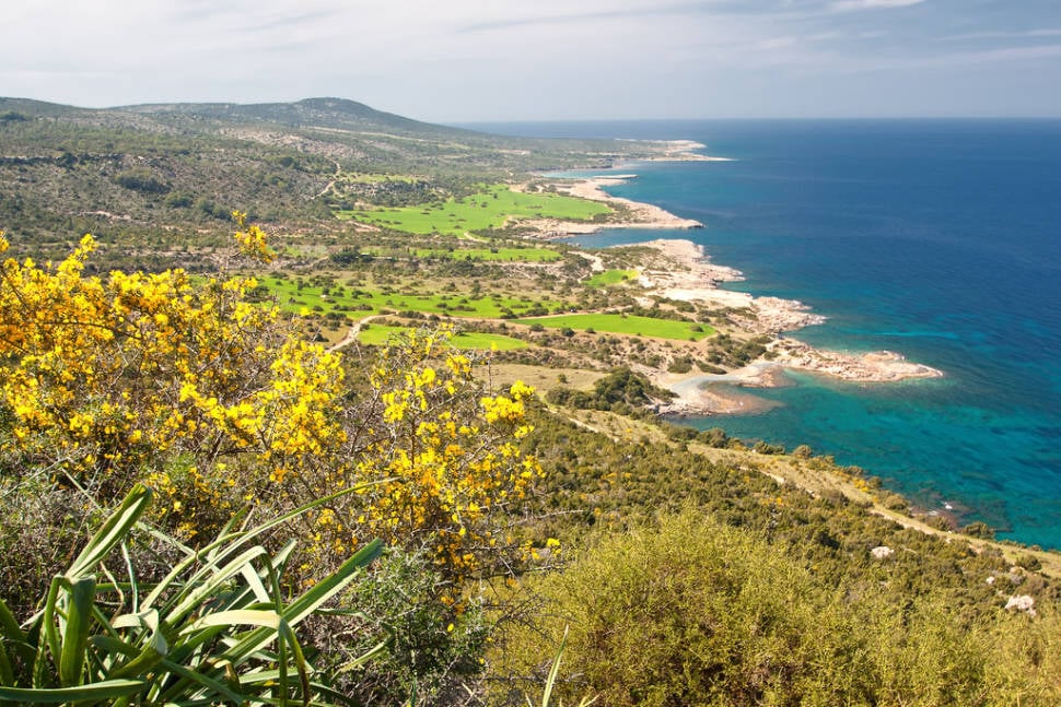 Aphrodite Trail Abloom in Cyprus - Best Time