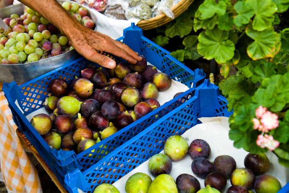 Best time for Figs in Cyprus