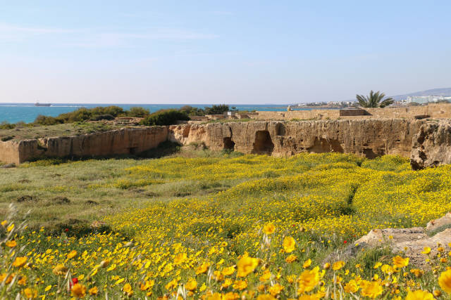 Spring in Cyprus - Best Season