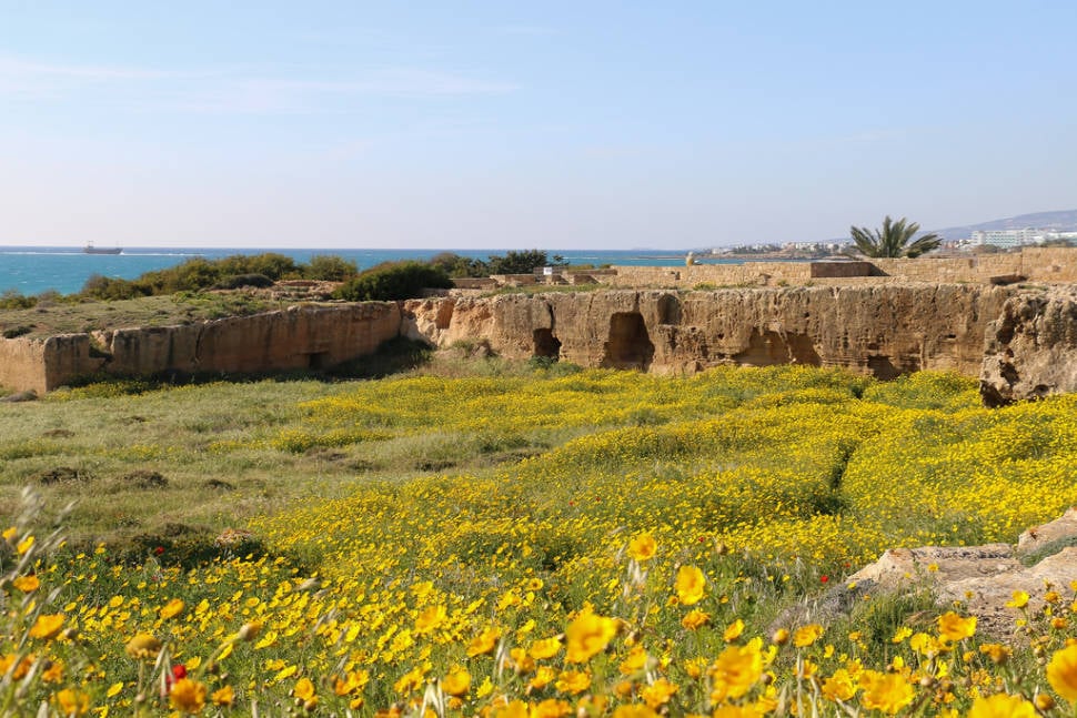 Spring in Cyprus - Best Season