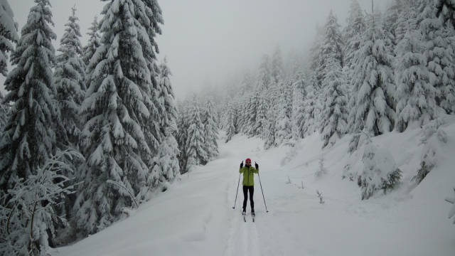 Horni Halze, near Klínovec