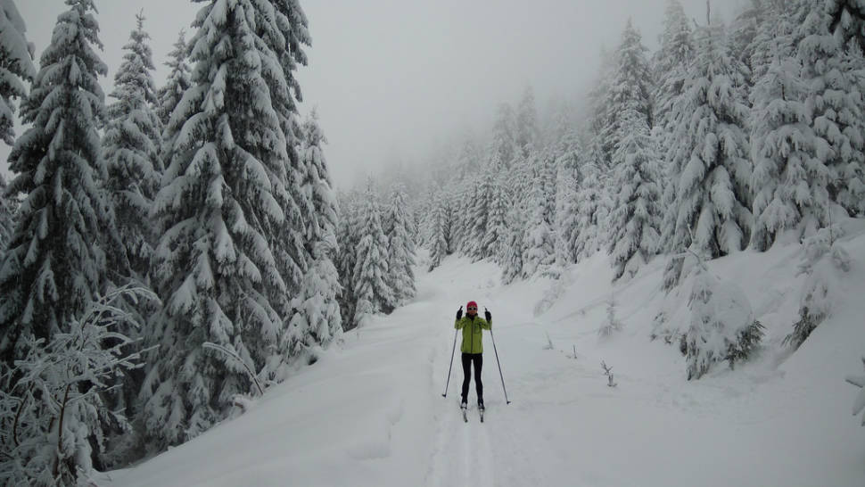 Horni Halze, near Klínovec
