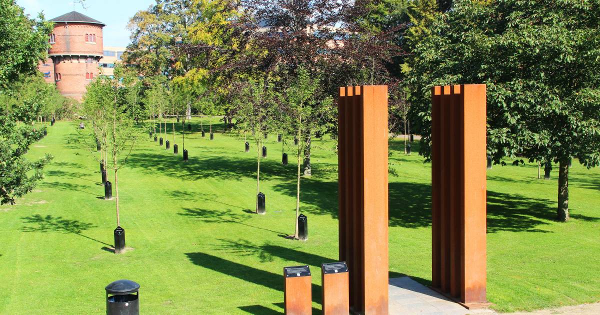 Singing Trees (Park of Music) in Denmark - Best Time