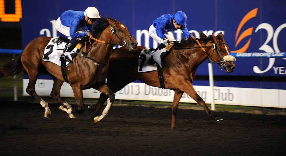 Domestic Horse Racing Season in Dubai - Best Time