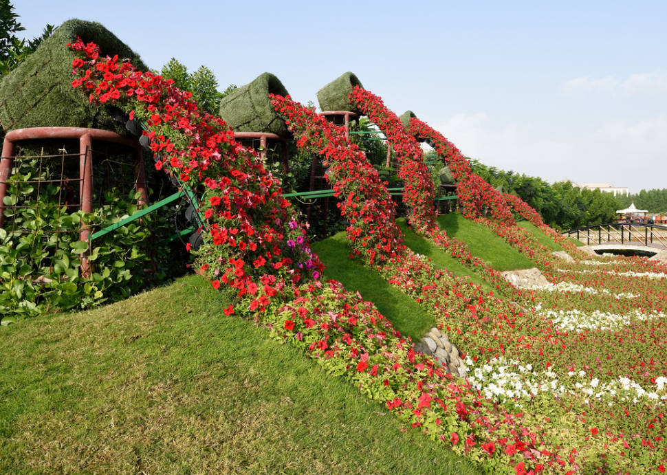 Dubai Miracle Garden in Dubai - Best Season