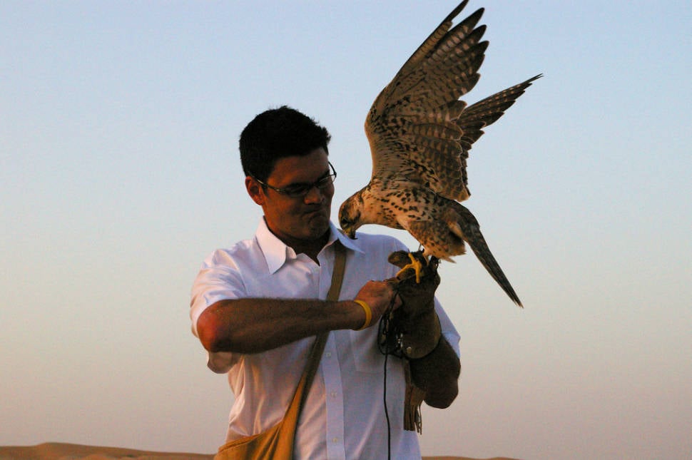 Falconry in Dubai - Best Season