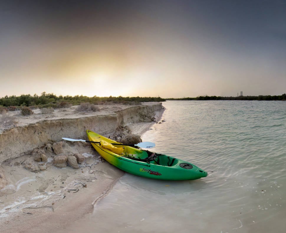 Abu Dhabi mangrove