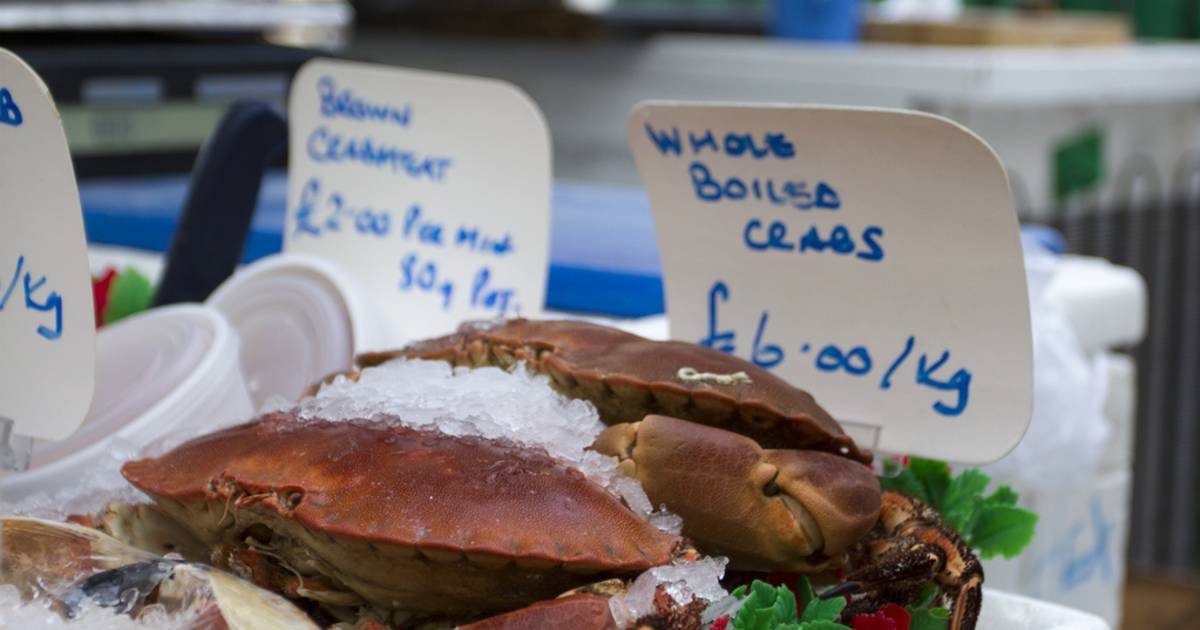 Langoustines, Crabs and Lobsters in Edinburgh - Best Time