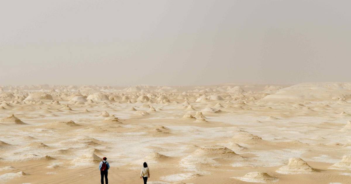 Sahara Desert Trekking in Egypt - Best Time