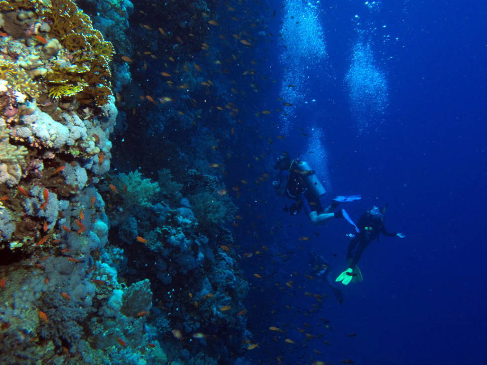 Big Brother Island, Red Sea