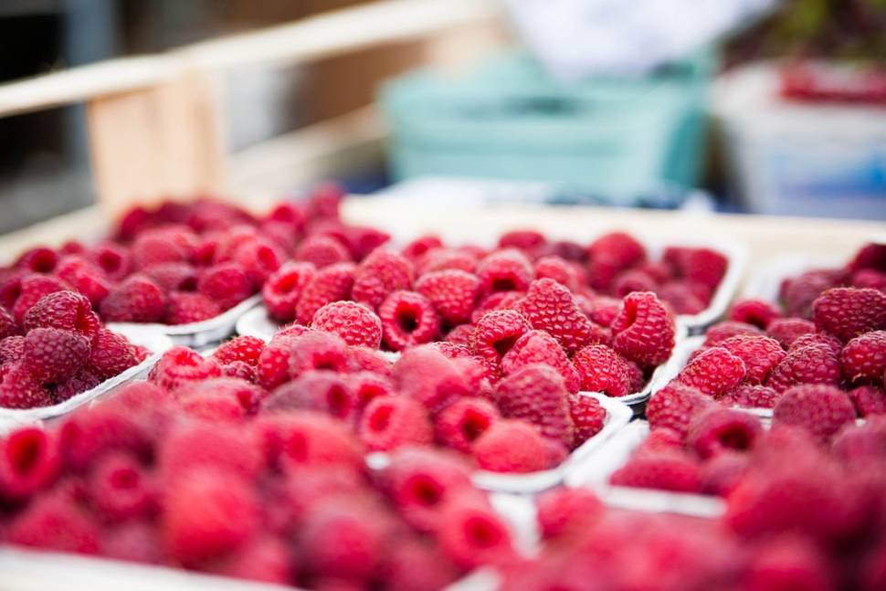 Berry Season in England - Best Season