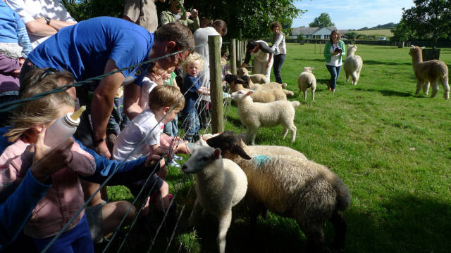 Best time for Lambing Season in England