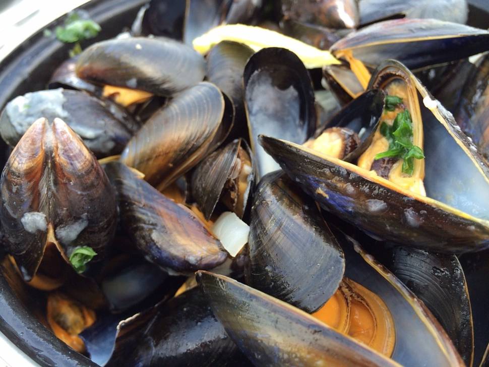 Mussels in England - Best Time