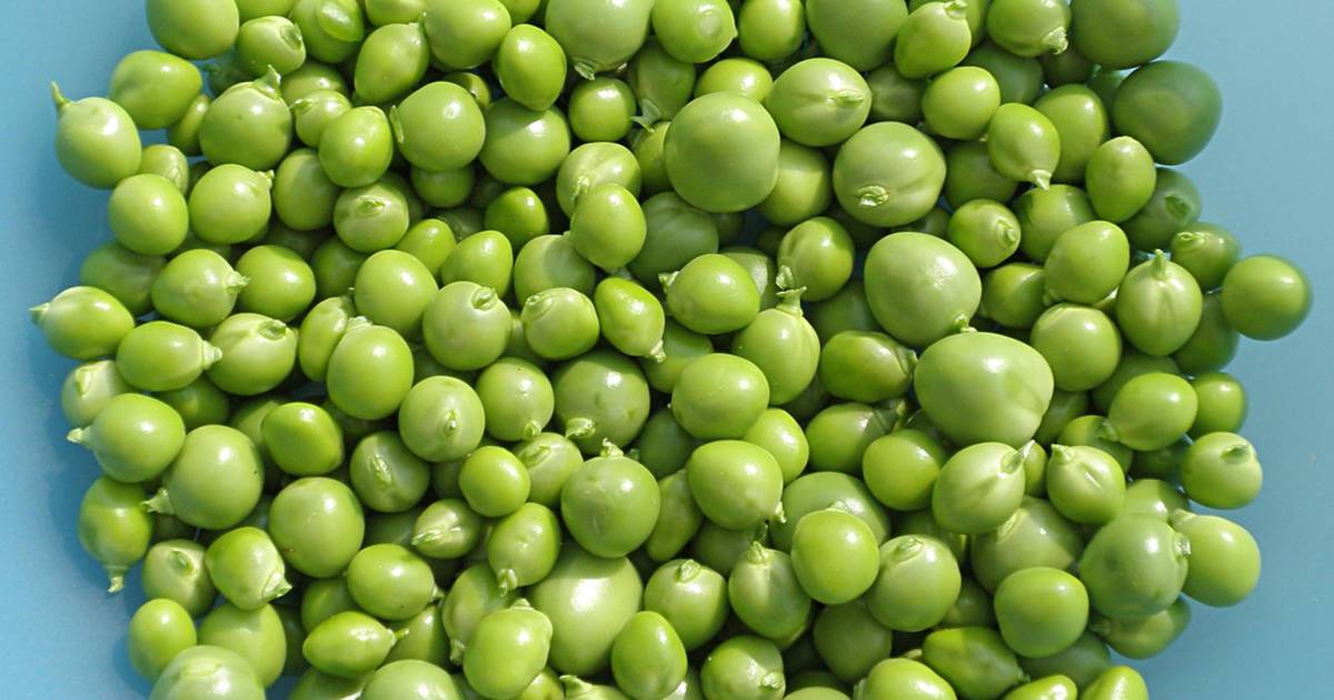 Peas in England - Best Time