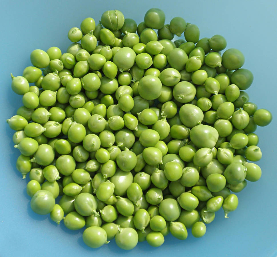 Peas in England - Best Time