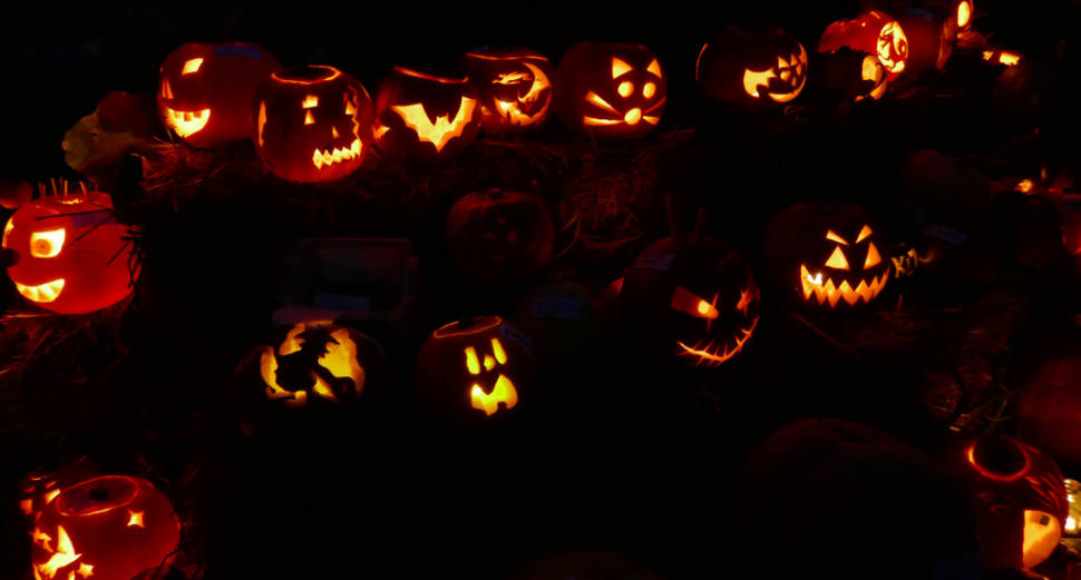 Best time for Pumpkin Season in England