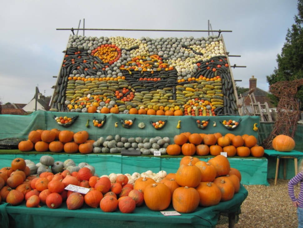 Pumpkin Season in England - Best Season