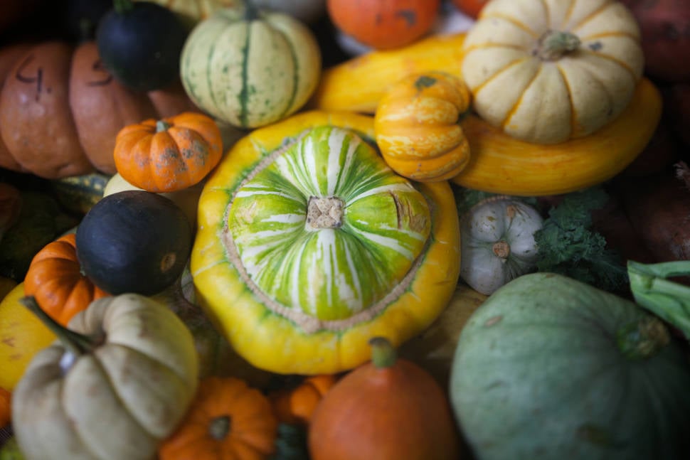 Pumpkin Season in England - Best Time