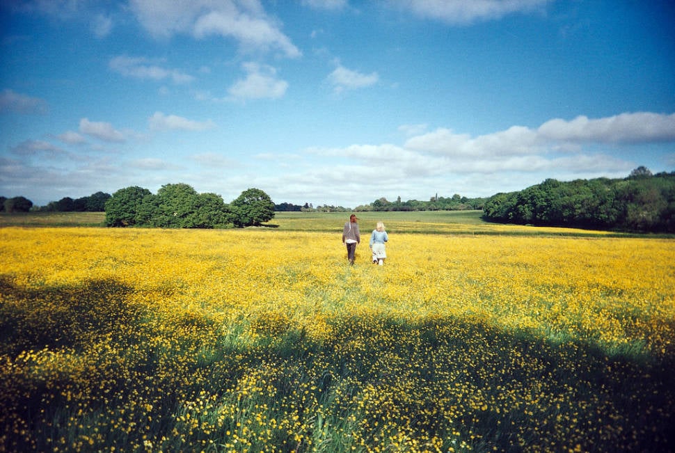 In a Field of Buttercups, July