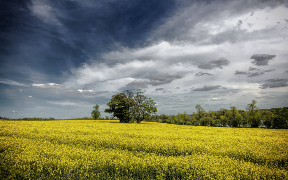 Summer in England - Best Time
