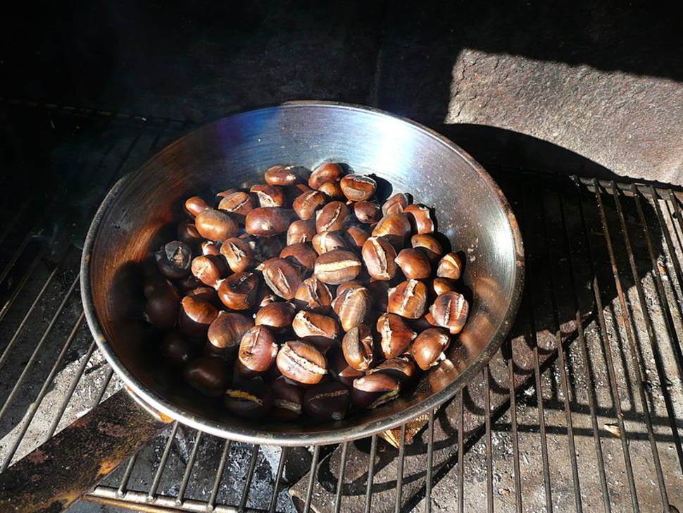 Sweet Chestnut Season in England - Best Season